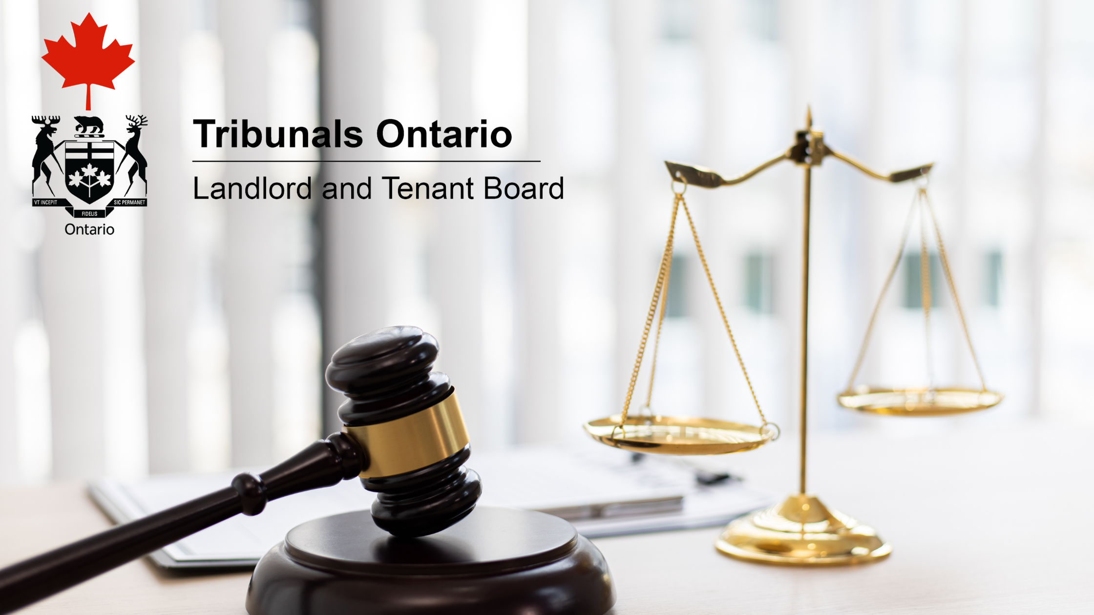 Hire a Landlord And Tenant Toronto Paralegal